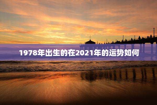 1978年出生的在2021年的运势如何