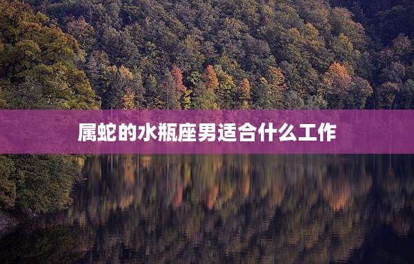 属蛇的水瓶座男适合什么工作