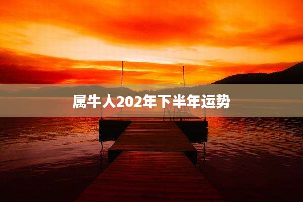 属牛人202年下半年运势