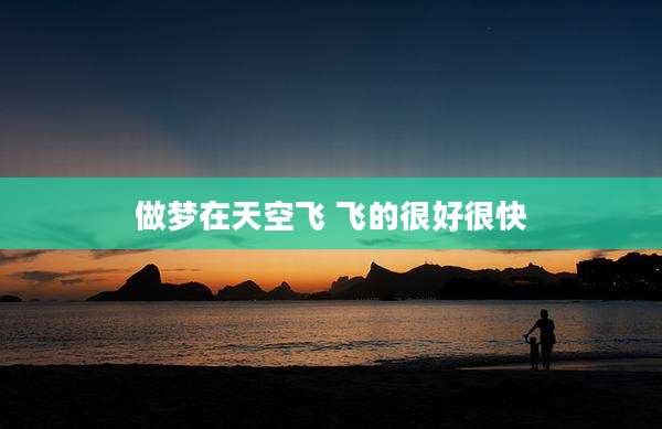 做梦在天空飞 飞的很好很快