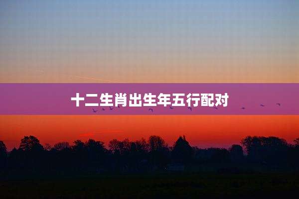 十二生肖出生年五行配对