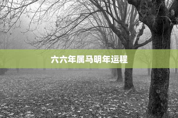 六六年属马明年运程