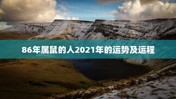 86年属鼠的人2021年的运势及运程