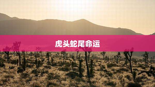 虎头蛇尾命运