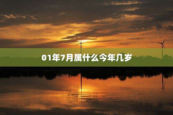 01年7月属什么今年几岁