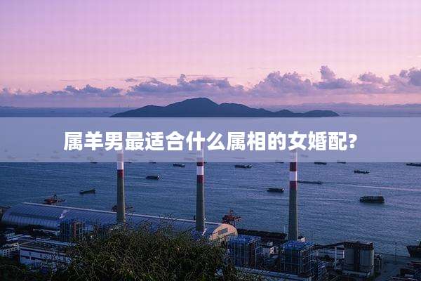 属羊男最适合什么属相的女婚配?