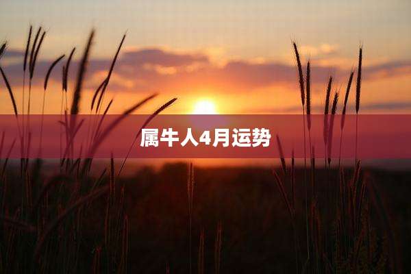 属牛人4月运势