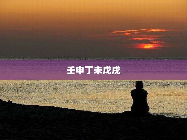 壬申丁未戊戌