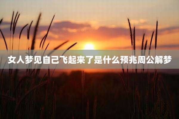 女人梦见自己飞起来了是什么预兆周公解梦