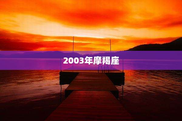 2003年摩羯座