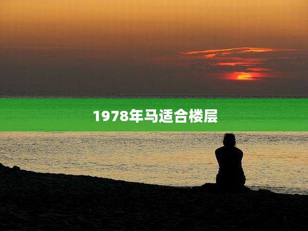 1978年马适合楼层