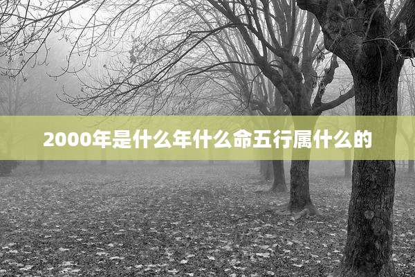 2000年是什么年什么命五行属什么的