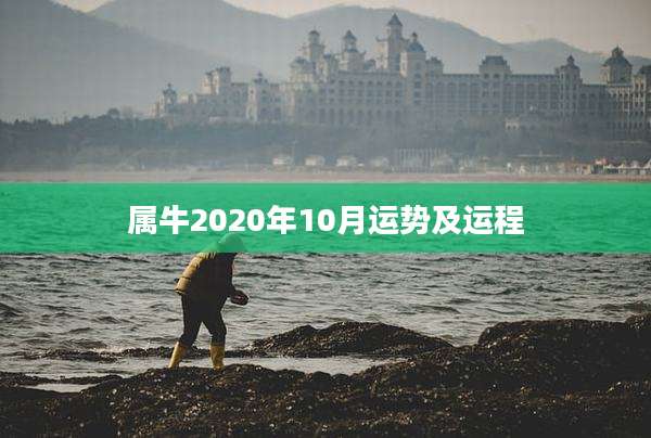 属牛2020年10月运势及运程