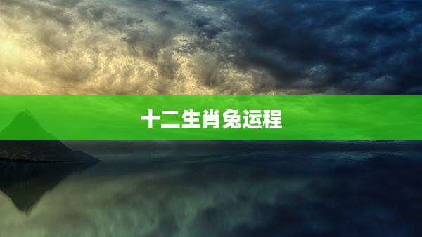 十二生肖兔运程