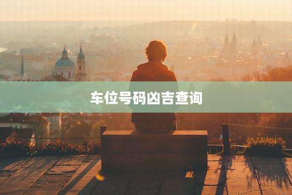 车位号码凶吉查询