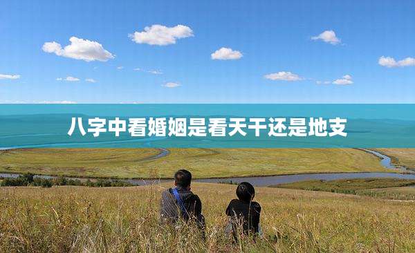八字中看婚姻是看天干还是地支