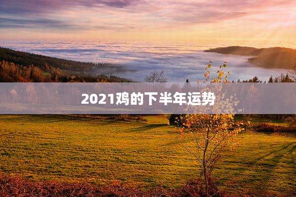 2021鸡的下半年运势