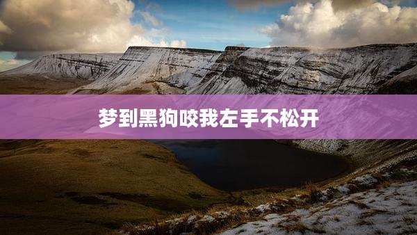 梦到黑狗咬我左手不松开