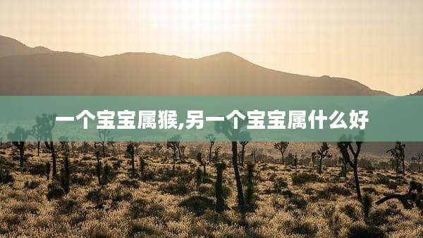 一个宝宝属猴,另一个宝宝属什么好