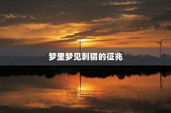 梦里梦见刺猬的征兆