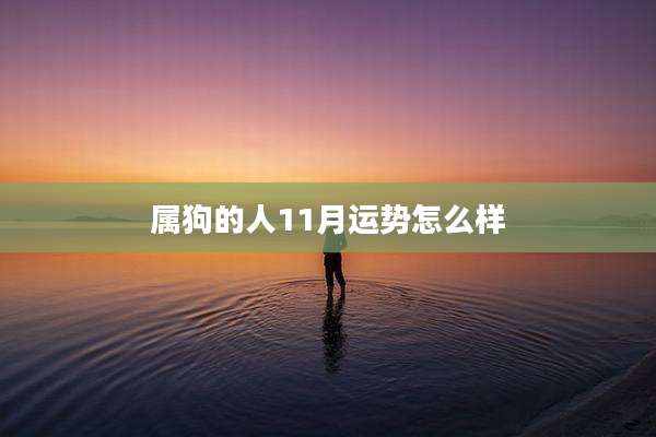 属狗的人11月运势怎么样