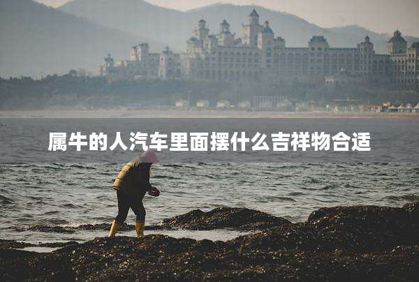 属牛的人汽车里面摆什么吉祥物合适