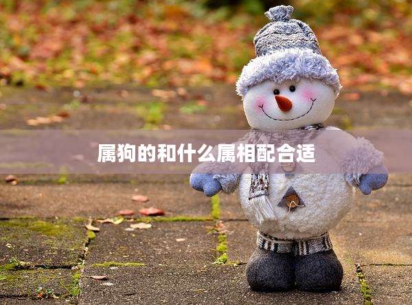 属狗的和什么属相配合适