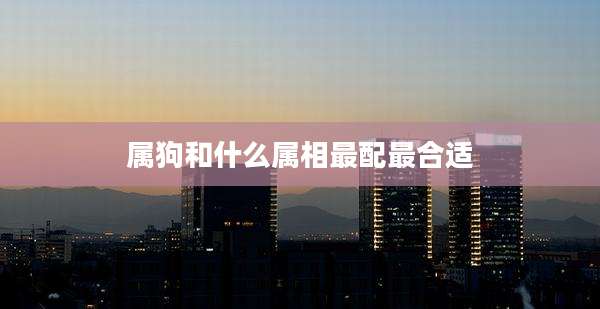 属狗和什么属相最配最合适