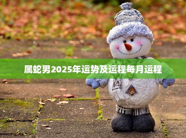 属蛇男2025年运势及运程每月运程
