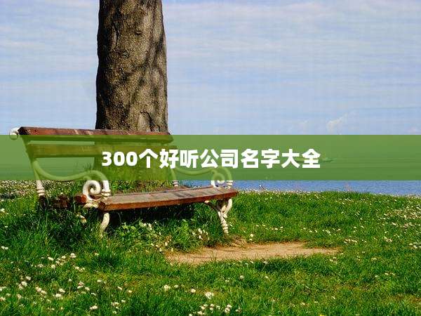 300个好听公司名字大全