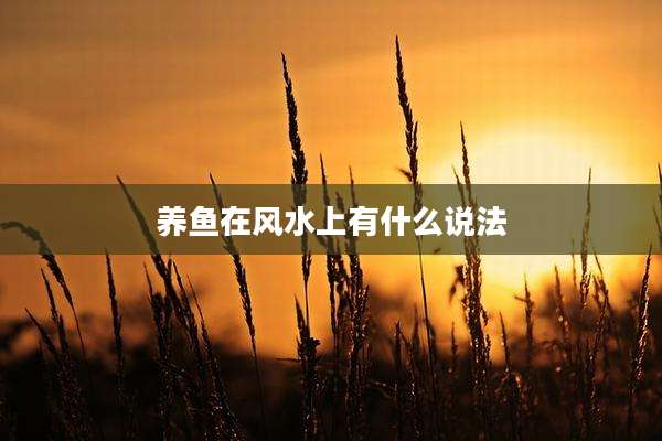 养鱼在风水上有什么说法
