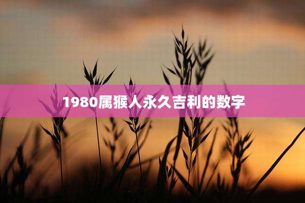 1980属猴人永久吉利的数字