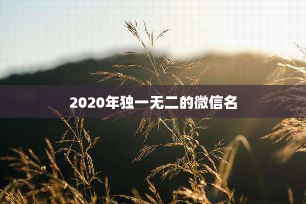 2020年独一无二的微信名