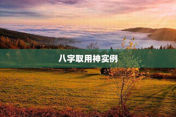 八字取用神实例