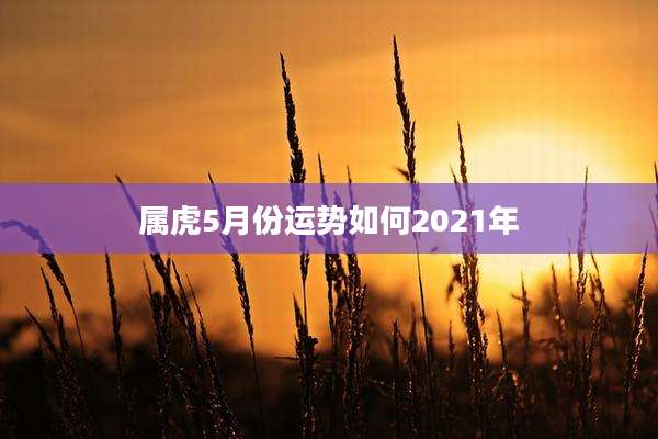 属虎5月份运势如何2021年