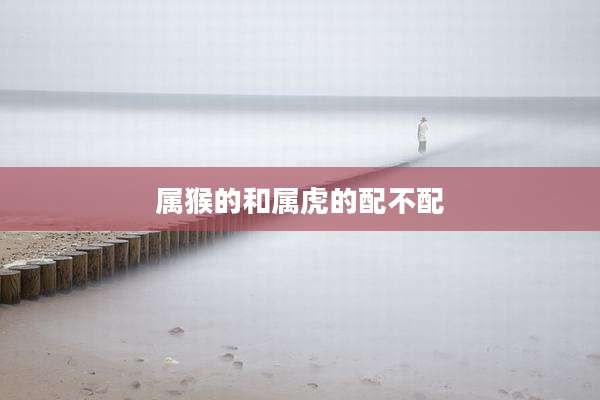 属猴的和属虎的配不配