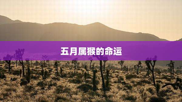 五月属猴的命运