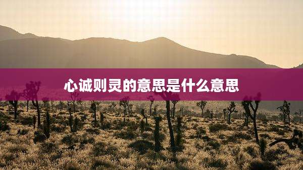 心诚则灵的意思是什么意思
