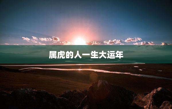 属虎的人一生大运年
