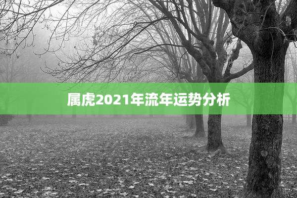 属虎2021年流年运势分析