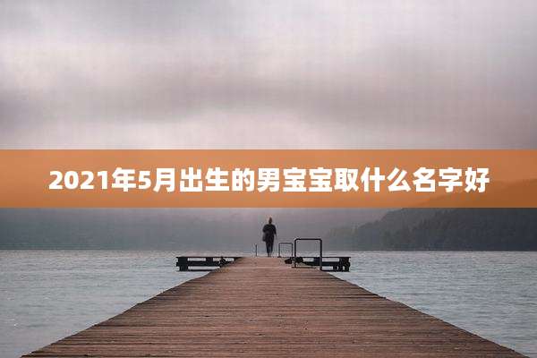 2021年5月出生的男宝宝取什么名字好