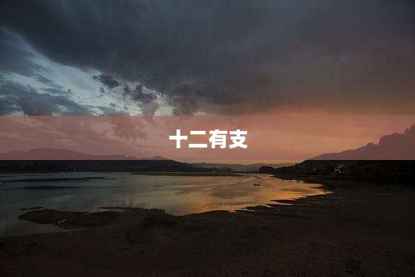 十二有支