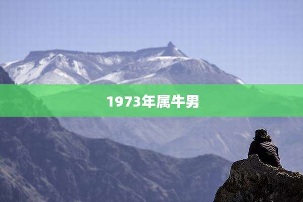 1973年属牛男