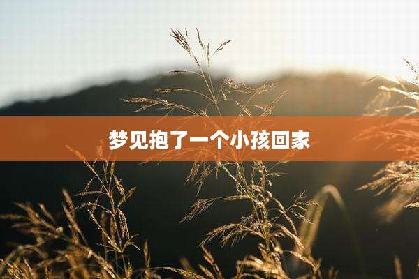 梦见抱了一个小孩回家