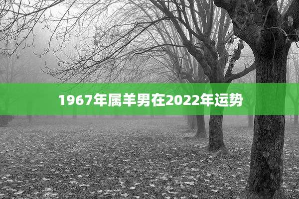 1967年属羊男在2022年运势