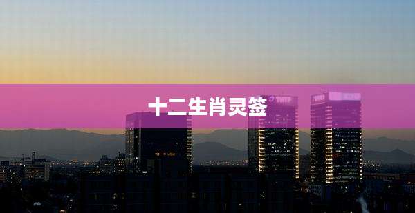 十二生肖灵签