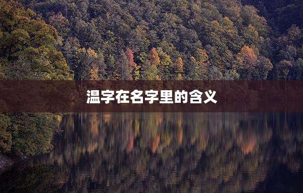 温字在名字里的含义