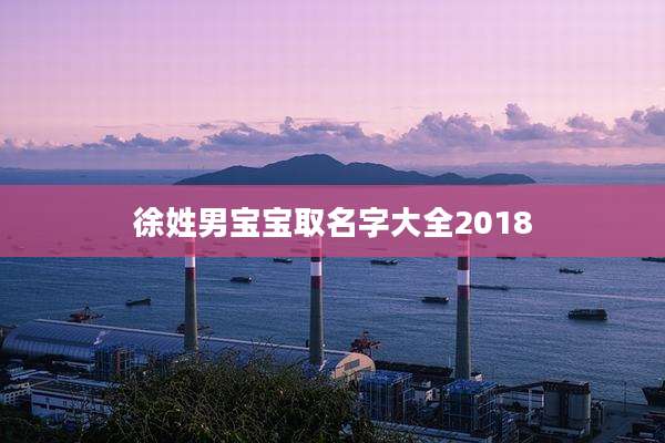 徐姓男宝宝取名字大全2018