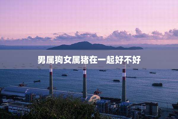 男属狗女属猪在一起好不好