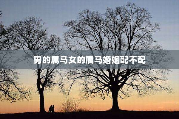 男的属马女的属马婚姻配不配